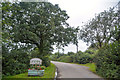 Rose Ash : Country Lane