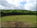 Grazing, Nidderdale