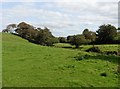 Farmland near Whitehouse Cross