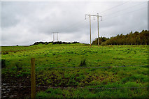 H5672 : Power lines, Mullaslin by Kenneth  Allen