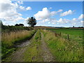 Farm track near Little Invernorth