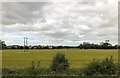 Fields on edge of Sherburn in Elmet