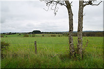 H5672 : Mullaghslin Glebe Townland by Kenneth  Allen