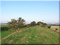 TL5963 : North-west on The Devil's Dyke by John Sutton