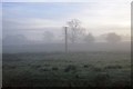 Misty rough grassland