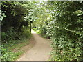 The Railway Walk, Louth