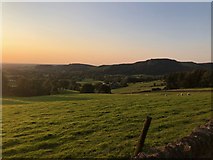 SJ9570 : View Northwest from lane above Lees Farm by Philip Cornwall