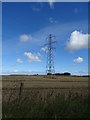 Cereal crop and pylon near Newark