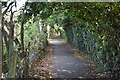 Footpath by Maidstone Hospital