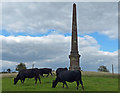 SO9281 : Obelisk on Wychbury Hill by Mat Fascione