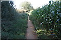 Footpath to Bodicote