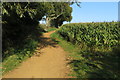 Track by the maize to Twyford