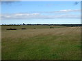 Grassland near Gateside of Cocklaw