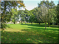 Scene in West Royd Park, Farsley