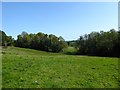 Upper Pasture Field