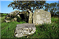 Large stones at Beltany Chambered Grave