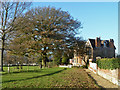 King Oak, Vine Cricket Ground, Sevenoaks