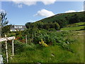 Looking towards Garreg Fawr