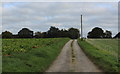 Access Track leading to Haverwitz Farm