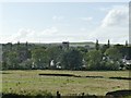 View to High Royds