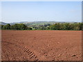 Prepared field near Goodrich