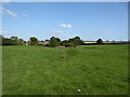 Path across the site of a deserted medieval village