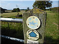 On the Jack Mytton Way near Wyke, near Much Wenlock