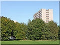 Park and tower block near Merry Hill in Wolverhampton