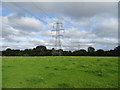 Grazing and power lines