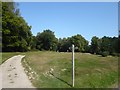 Path on Holtye Golf Course