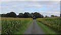 Access Lane from Graycarr Lodge