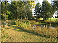 Pond and bench