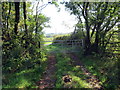 Llwybr ger Blaenisfael / Path near Blaenisfael