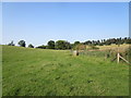 Footpath to Badby