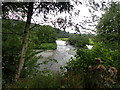 A meander in the River Severn at Dol-llys Farm