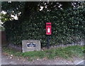 Elizabeth II postbox on the B1257, Broughton