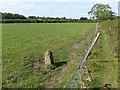 Boundary stone near Farnsfield ? 1