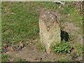 Boundary stone near Farnsfield ? 2