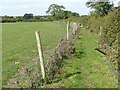 Cotton Mill Lane footpath