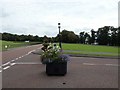 J4075 : Flowers at Stormont by Gerald England