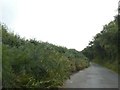 Passing place on minor road across Black Moor