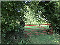 Red gate, Dodford