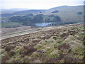 Belt Knowe hillside towards Glenbuck