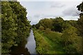 Montgomery Canal from Corbett