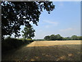 SP2466 : Stubble field near Budbrooke Farm by Jonathan Thacker