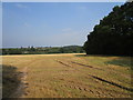 Stubble field and Hatton Park