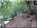 G?t fochyn ger Abergorlech / Kissing gate near Abergorlech