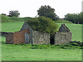 Ruined cottage west of Shittlehope Burn