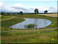 Balancing pond beside Back Lane (A6055)