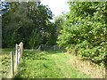 Footpath to Holtye Hill